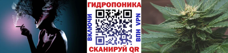 Марихуана план  купить   Ухта 